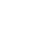 scale ico n